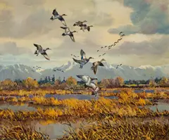 Hugh Monahan, Widgeon in British Columbia, 1957, oil on canvas