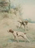 Edmund Henry Osthaus, Pointers
