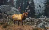 Bull Elk in the High Country by Carl Rungius, circa 1910, oil on canvas, sold Jul 2009