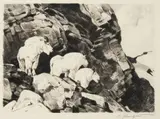 Carl Rungius, Three Old Gentlemen, etching on paper