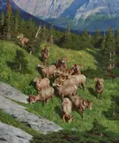 Tucker Smith, Rams Being Rams, 2009, oil on canvas