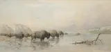 Frederick Arthur Verner, Herd of Buffalo Watering