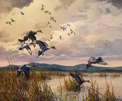 Pintails by Harry Adamson, oil on canvas, sold Jul 2008