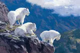 Ken Carlson, Goat Ledge, 2008, oil on board