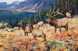 Ken Carlson, Elk Family