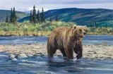 Ken Carlson, Grizzly