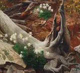 John Clymer, The Fawn