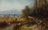 John Fery, Elk on Jackson Lake, Wyoming