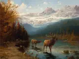 John Fery, Glacier Elk