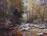 Francois Koch, Beaver Creek