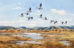 Hugh Monahan, Canadian Geese, 1953, oil on canvas