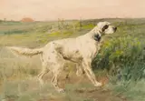 Edmund Henry Osthaus, Hunting Dog I