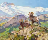 Carl Rungius, Big Horns, oil on canvas