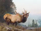 Bugling Elk by Carl Rungius, 1909, oil on canvas, sold Jul 2008