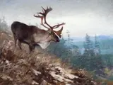 Yukon King – Caribou by Carl Rungius, 1907, oil on canvas, sold Jul 2008