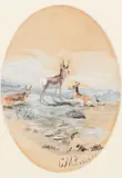 Antelopes by Charles Marion Russell, watercolor on paper, sold Jul 2008