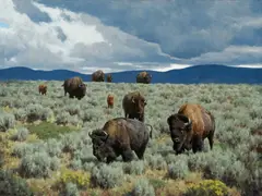 Tucker Smith, Ahead of the Storm, 2008, oil on canvas