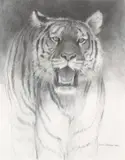 Robert Bateman, Study for Siberian Night