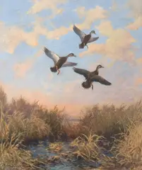 Roland Clark, Ducks in Flight, oil on canvas