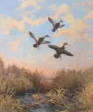 Roland Clark, Ducks in Flight