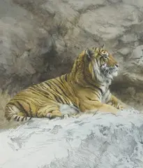 Raymond Ching, Tiger, 1976, mixed media on paper