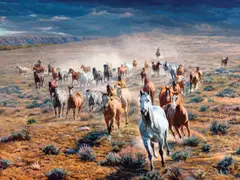 Tim Cox, Rumbling Thunder, 2007, oil on board