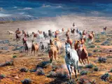 Tim Cox, Rumbling Thunder, 2007, oil on board