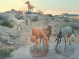Charlie Dye, Water Hole, oil on board