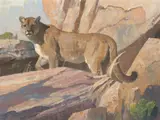 Bob Kuhn, The Deerslayer