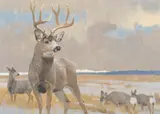 Mulies on a Gray Day by Bob Kuhn, 1997, acrylic on board, sold Jul 2007