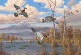 David Maass, Sharing the Scenery - Wood Ducks