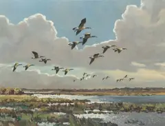 Hugh Monahan, Canadian Geese, oil on canvas