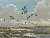 Hugh Monahan, Canadian Geese, oil on canvas