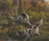 Edmund Henry Osthaus, Setters