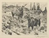Mates by Carl Rungius, Etching, sold Jul 2007