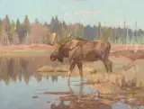 Moose in Marshland by Carl Rungius, 1915, oil on canvas, sold Jul 2007