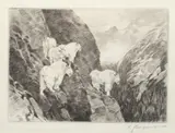 Goats by Carl Rungius, Etching, sold Jul 2007