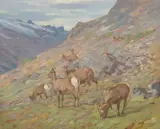 In the Open by Carl Rungius, 1920, oil on canvas, sold Jul 2007