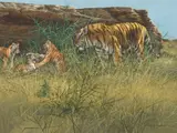 Gary Swanson, Tiger with Cubs