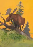 Robert Amick, Sunset Moose, gouache on paper