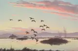 Harry Adamson, Honkers in Lassen County