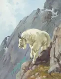 George Browne, Mountain Goat
