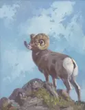 Belmore Browne, Rocky Mountain Ram, 1935, oil on canvasboard