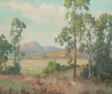 Maurice Braun, Eucalyptus