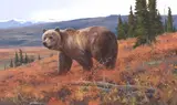 Ken Carlson, Tundra Slopes - Grizzly, oil on board