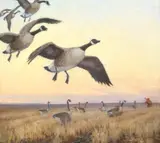 Philip Russell Goodwin, Goose Hunting