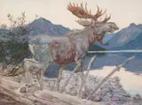 Philip Russell Goodwin, Lake McDonald