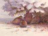 Owen J. Gromme, Quail in Winter, oil on canvas