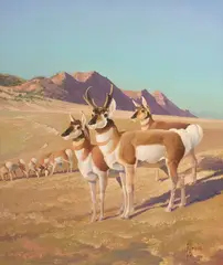 Francis Lee Jaques, The Speed King of the Plains, oil on board