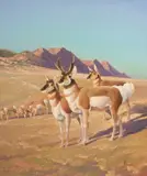Francis Lee Jaques, The Speed King of the Plains, oil on board